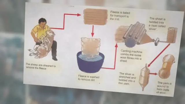 'Video thumbnail for Wool | Manufacturing Process of Wool'