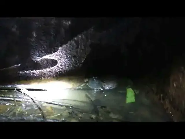 'Video thumbnail for All frog stay underwater crying strong here at night'