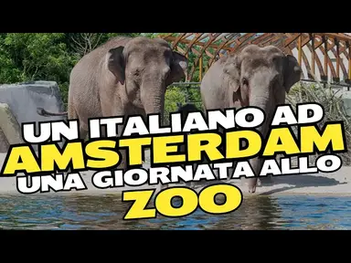 'Video thumbnail for Esploriamo Lo ZOO di AMSTERDAM #travel'