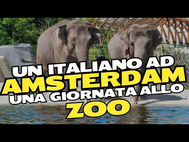 'Video thumbnail for Esploriamo Lo ZOO di AMSTERDAM #travel'