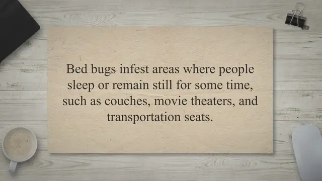 'Video thumbnail for How To Clean A Pack And Play With Bed Bugs (Easy Steps)'