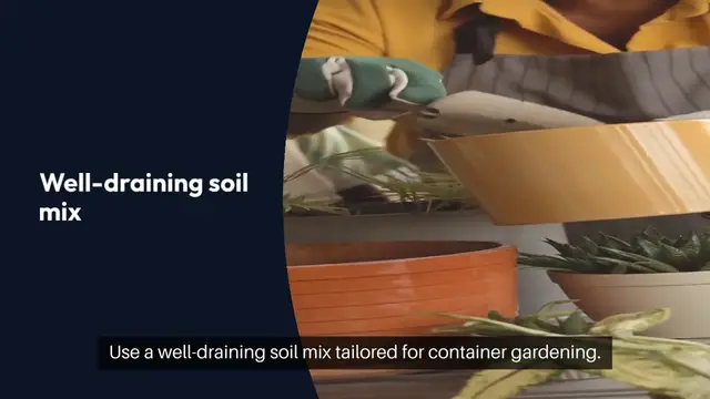 'Video thumbnail for Raised Bed Gardening Indoors Tips and Trick'