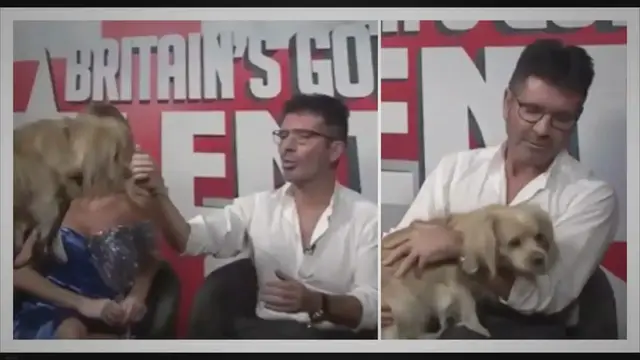 'Video thumbnail for Simon Cowell stunned with a particular visitor: one of many canines he saved from the slaughterhouse'
