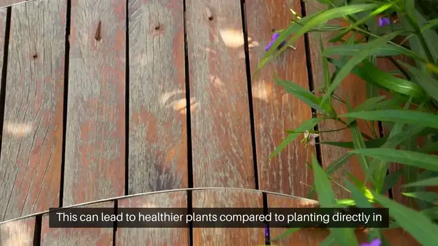 'Video thumbnail for Raised Beds'