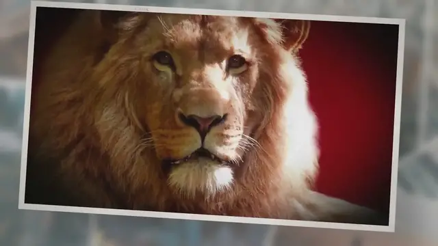 'Video thumbnail for Do Lions Eat Rhinos? (The Answer May Surprise You)'