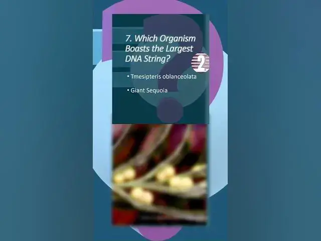 'Video thumbnail for What's the World's Largest Genome? | HowSmart.net Video Quiz | #smarttrivia #triviatime'