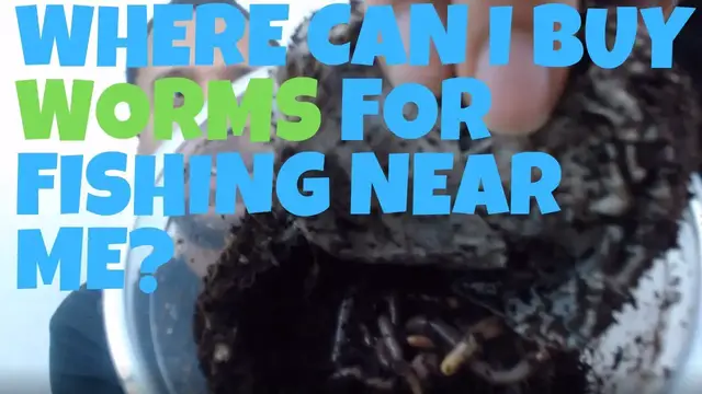 'Video thumbnail for Where Can I Buy Worms For Fishing Near Me - Top Places To Find Live Fishing Bait Worms Fast!'