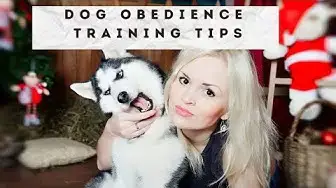 'Video thumbnail for Dog Obedience Training Tips'
