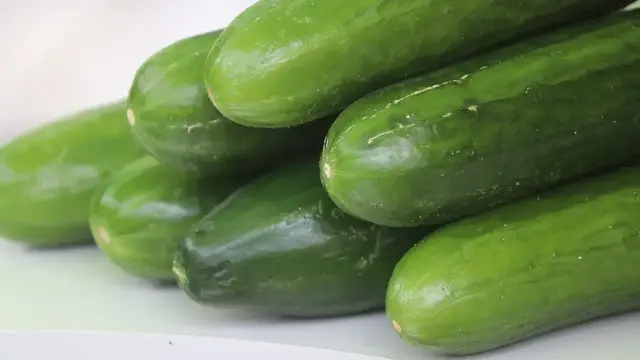 'Video thumbnail for When Should You Pick Cucumbers?'