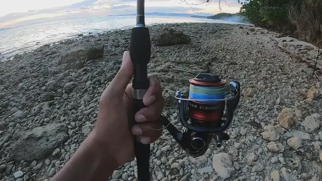 'Video thumbnail for Best Beginner Fishing Reel - Shimano Sienna C3000 '