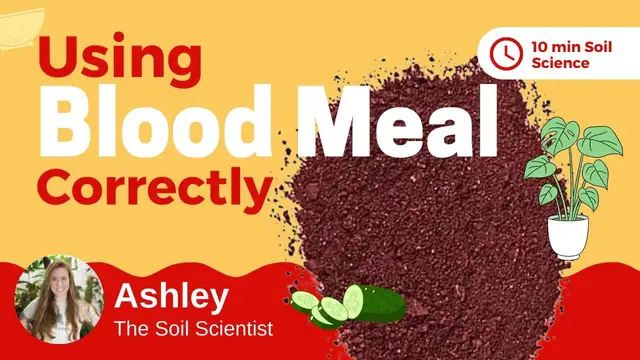 'Video thumbnail for What Is Blood Meal Fertilizer? How To Apply Blood Meal To Plants & What Else You Should Add 🌿'