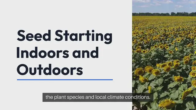'Video thumbnail for Seed Starting Indoors vs Outdoors'