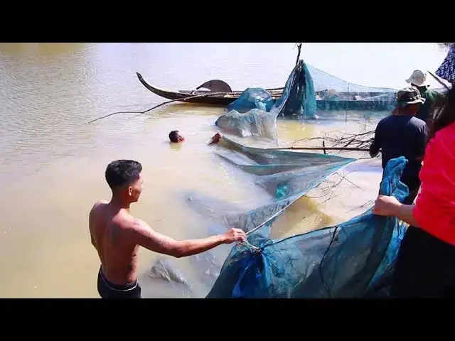 'Video thumbnail for Way fish using netcast to catch all fish'