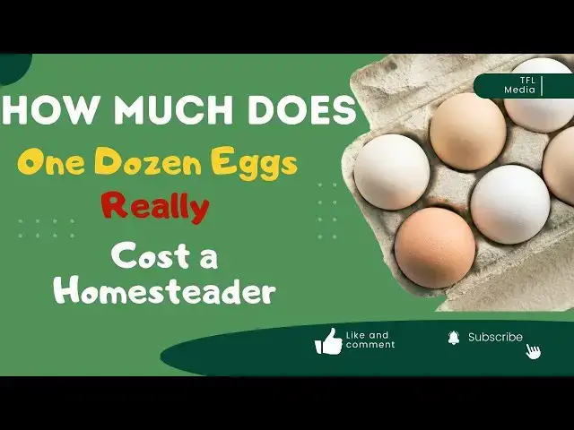'Video thumbnail for How much does a dozen eggs cost a homesteader?'