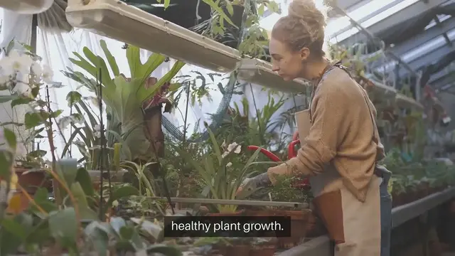 'Video thumbnail for Seed Starting in Mini Greenhouses'