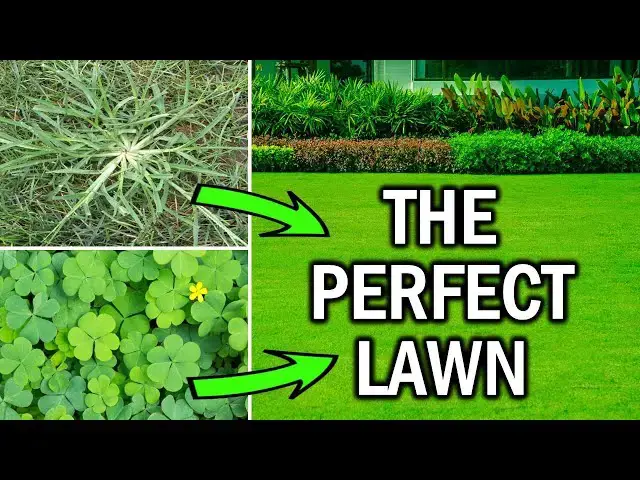 'Video thumbnail for How to Get Rid of Crabgrass And Clovers in the Lawn'