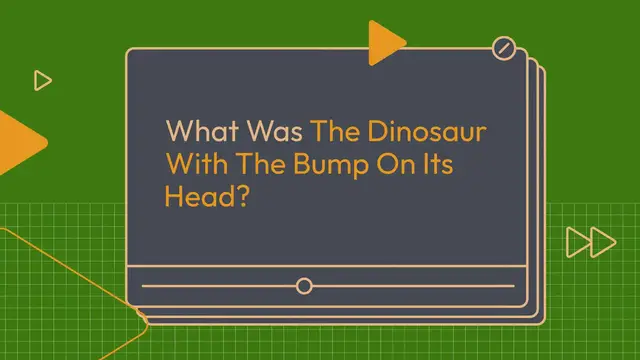 'Video thumbnail for Bump_Headed_Dinosaur'