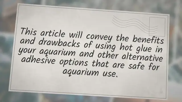 'Video thumbnail for Is Hot Glue Aquarium Safe? (Yes, But You Need To Know This)'