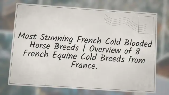 'Video thumbnail for Most Stunning French Cold Blooded Horse Breeds | Overview of 8 French Equine Cold Breeds from France'