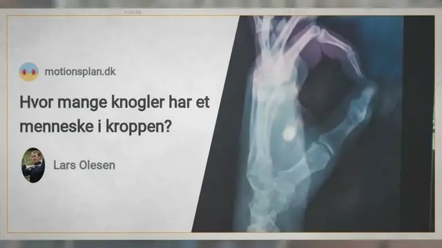 'Video thumbnail for Hvor mange knogler har et menneske i kroppen?'