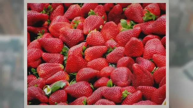 'Video thumbnail for How Are Strawberries Harvested?'
