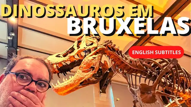 'Video thumbnail for MUSEU BRUXELAS DE CIÊNCIAS NATURAIS - DINOSSAUROS NA BÉLGICA! #bruxelas'
