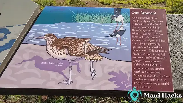 'Video thumbnail for The Boardwalk At Kealia Ponds'