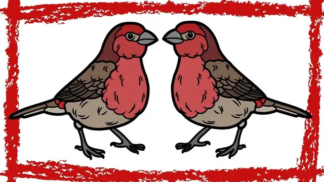 'Video thumbnail for 10 Minutes House Finch Call/Sound/Song'