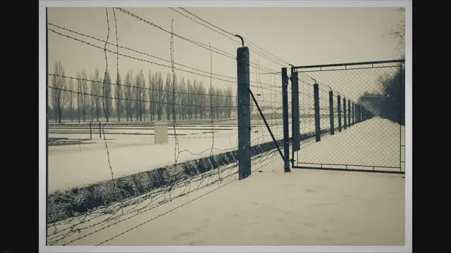 video of: Women at Work in Nazi Germany