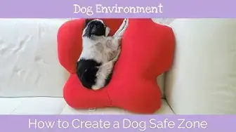 'Video thumbnail for How to Create a Dog Safe Zone'