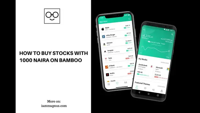 'Video thumbnail for How to Buy Stocks With 1000 Naira on Bamboo'