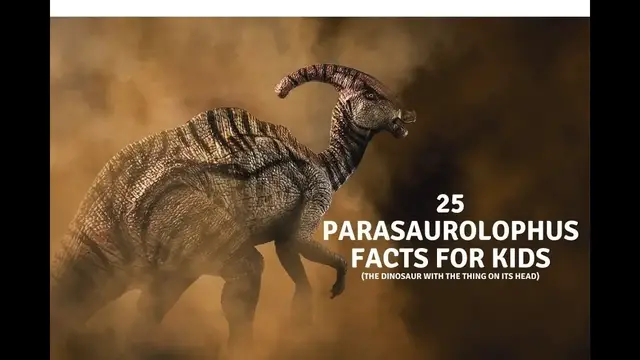 'Video thumbnail for parasaurolophus facts for kids'