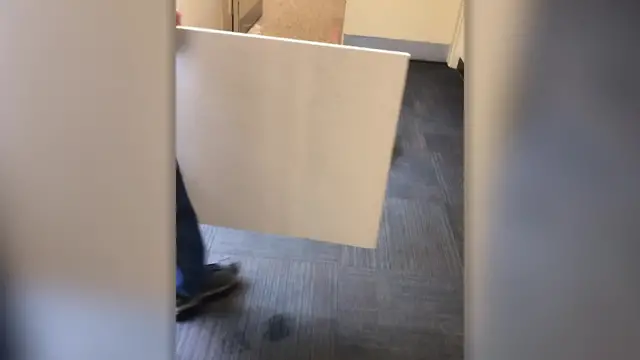 'Video thumbnail for Mother Duck Leads Ducklings Through School | Wild-ish TV'