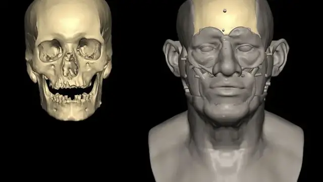 'Video thumbnail for Ancient DNA reveals genetic link between early Egypt and Mesopotamia'