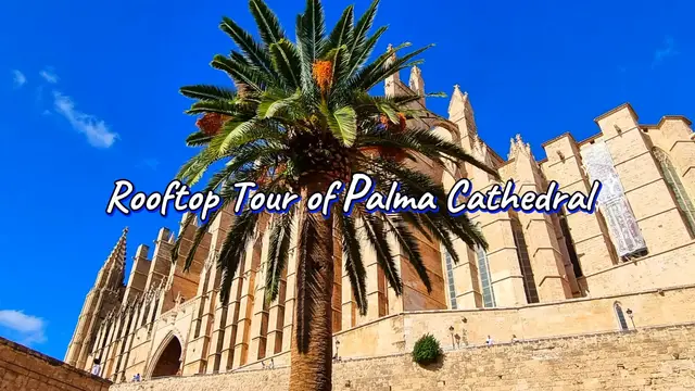 'Video thumbnail for Palma Cathedral Rooftop Tour'