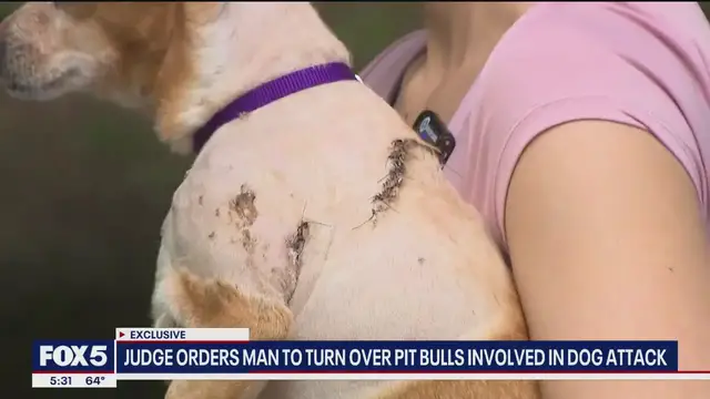 'Video thumbnail for Judge orders owner to turn over pit bulls after UWS attack'