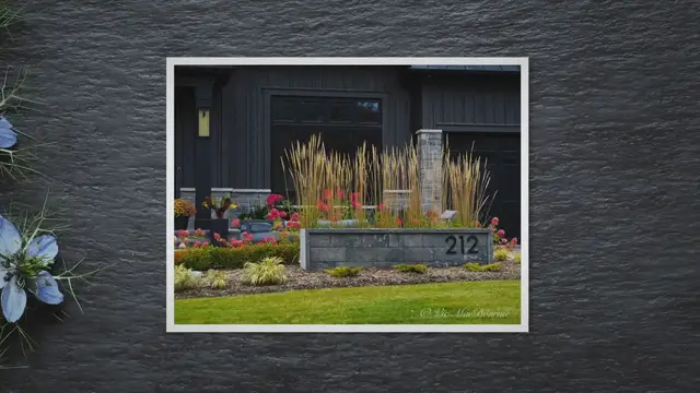 'Video thumbnail for Falling in love with the Olympus 45mm F1.8 and MCON P02'