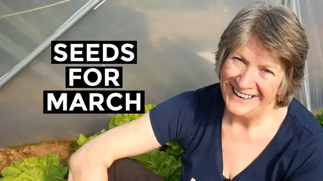 'Video thumbnail for What To Sow In MARCH | Easy to grow outdoors'