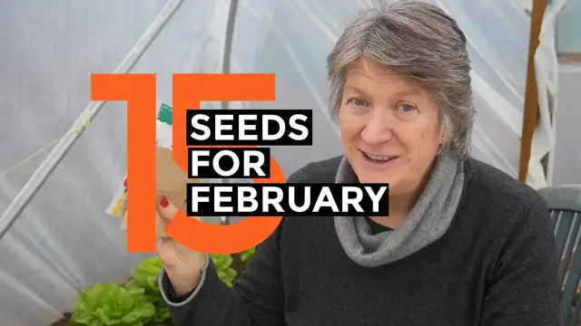 'Video thumbnail for What To Sow In FEBRUARY | Easy to grow crops'