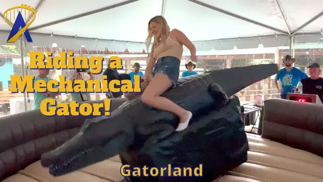 'Video thumbnail for Mechanical Gator Riding at Gatorland for Gatorpalooza'