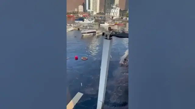 'Video thumbnail for Alerta Tsunami en Chile por erupción en del volcán de Tonga'