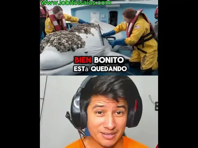 'Video thumbnail for Desparasitan los animalitos acuaticos'