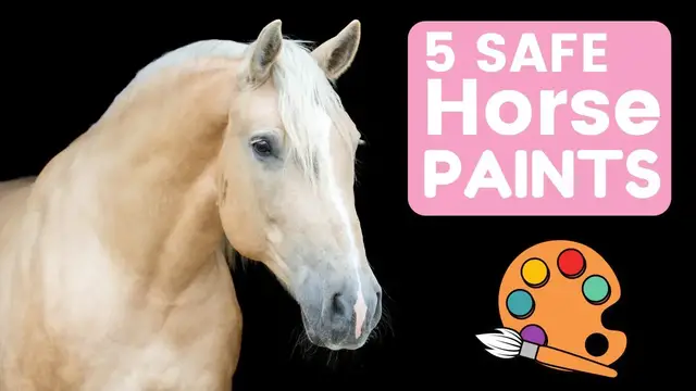 'Video thumbnail for 5 Safe Horse Paints | Joyful Equestrian'