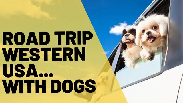 'Video thumbnail for Road Trip Western USA with Dogs [VLOG...kind of]'