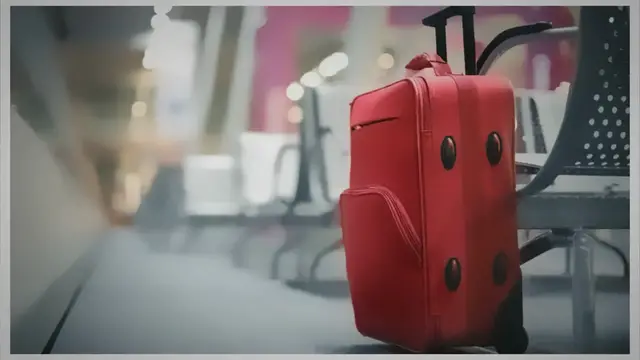 'Video thumbnail for Il furto del bagaglio aereo'