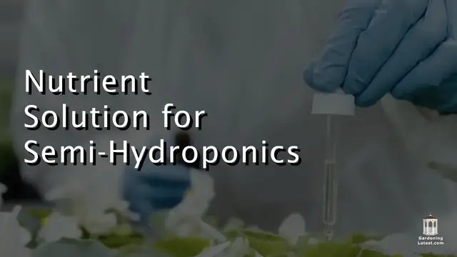 'Video thumbnail for Nutrient Solution for Semi Hydroponics'