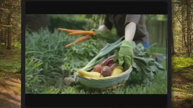 'Video thumbnail for Using Cardboard As a Weed Barrier – 4 Reasons Why!'