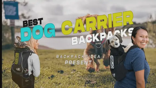 'Video thumbnail for Best Dog Carrier Backpacks [Feature Rich & Comfortable]'