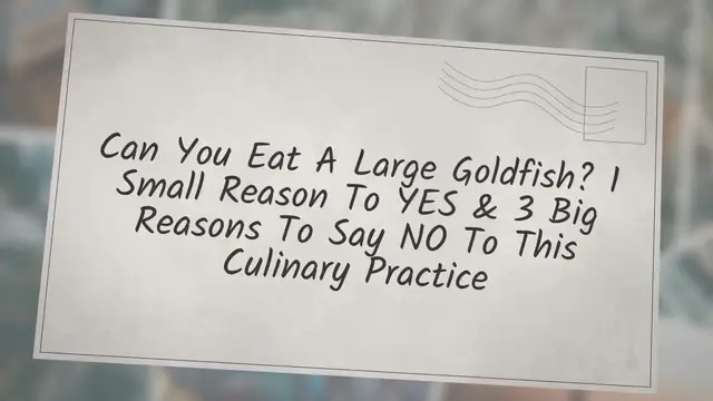'Video thumbnail for Can You Eat A Large Goldfish? 1 Small Reason To YES & 3 Big Reasons To Say NO To This Culinary Practice'