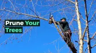 'Video thumbnail for Eight Ways Homeowners Need To Be Prepping For Severe Summer Storms'